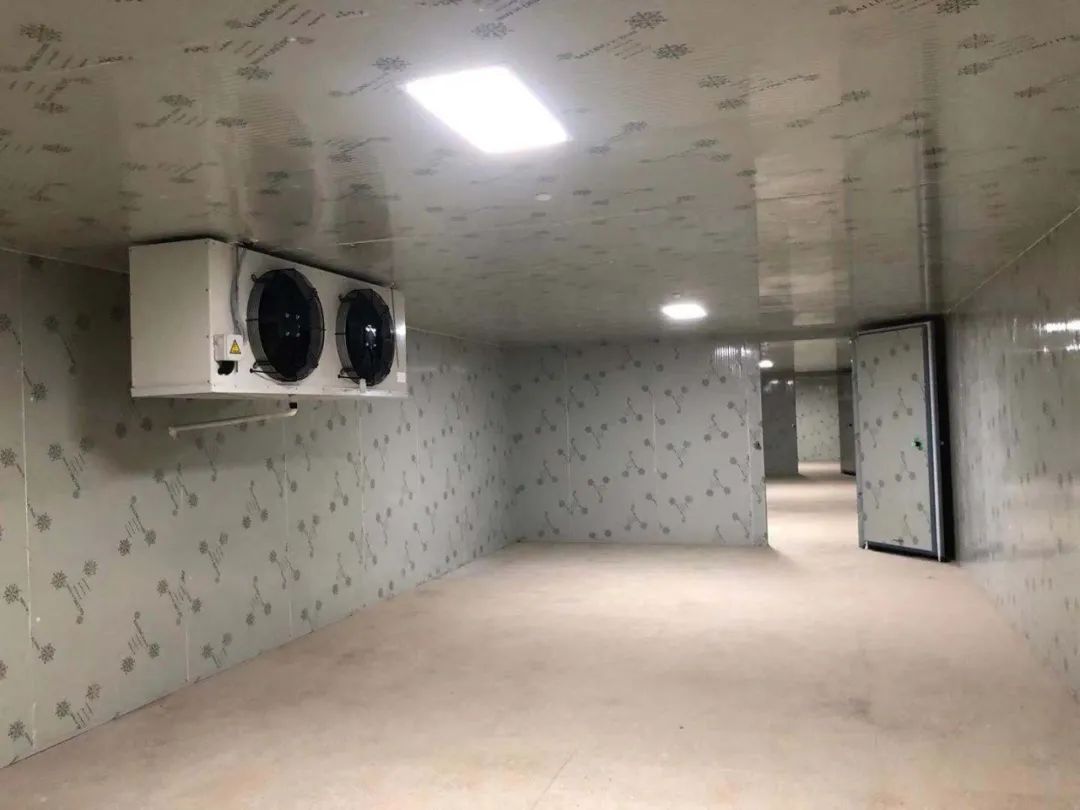 城区小型冷库的结构有哪些特色